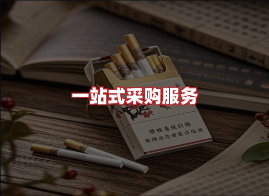 专业团队